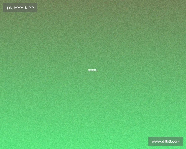 搏击比赛∪fc