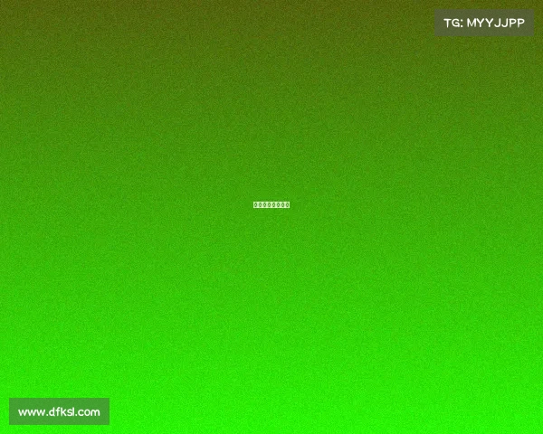 春节期间体育赛事